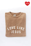 Love Like Jesus Plus Mineral Graphic Top