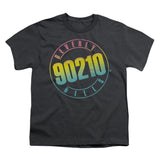 Color Blend Logo Youth T-shirt