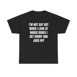 Im Not Gay But When I Look At Naked Dudes Funny Shirt