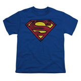Charcoal Shield Youth T-shirt
