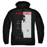 Classic Hooded Sweatshirt Style003