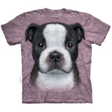 Boston Terrier Puppy T-shirt Style001