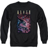 Collection Adult Sweatshirt