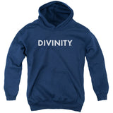 Divinity Logo Youth 50% Poly Hooded Sweatshirt Style001