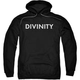 Divinity Logo Adult 25% Poly Hooded Sweatshirt Style001