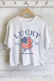 Lucky America Clover Flag Graphic Long Crop Top