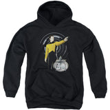 Data 30 Youth 50% Poly Hooded Sweatshirt