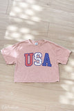 USA with Pattern Cropped Mineral Graphic Top