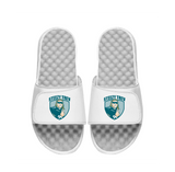 Steezy Graphic iSlides (Footwear)