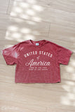 United States Cropped Mineral Graphic Top