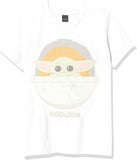 Product 973