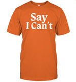 Dream On 3 Say I Can't Shirt
