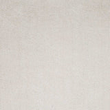 8'X11' Ivory Indoor Shag Rug