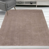 5'X7' Beige Indoor Shag Rug