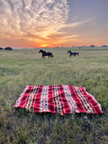 Ultra Soft Southwestern Rainbow Handmade Woven Blanket