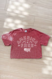 America Cropped Mineral Graphic Top