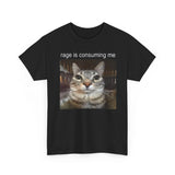 Rage Is Consuming Me Funny Shirt