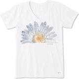Product 13047