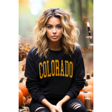 Colorado Vintage Graphic Oversizes Sweatshirts Unisex T-shirt, Sweatshirt, Hoodie, Long Sleeve Tee