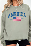 America Flag Graphic Brushed Sweatshirts