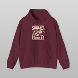 Sundays Are For Formula 1 Hoodie