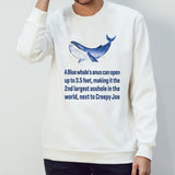 A blue whaleâ€™s anus can open up to 3.5 feet shirt