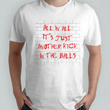 All in all itâ€™s just another kick in the balls 2024 shirt