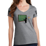 Ladies All Gun Laws Are An Infringement V-Neck T-shirt Style001