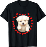 Product 12764