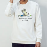 Dog the best toys in life are free shirts