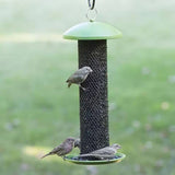 Outdoor, Metal, Mesh Tube, Hanging, Bird Feeder, Green Top, Perch