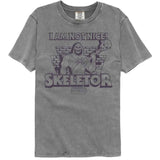 Masters Of The Universe - Not Nice Skeletor - American Classics - Gray Solid Adult Short Sleeve Comfort Color T-Shirt