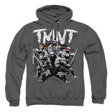TMNT - Team - Adult Pullover Hoodie