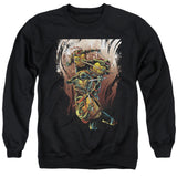 TMNT - Earthy Rainbow Warriors - Adult Sweatshirt