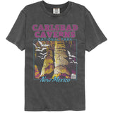 National Parks - Carlsbad Caverns - American Classics - Solid Gray Adult Short Sleeve Comfort Color T-Shirt