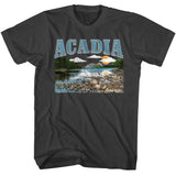 National Parks - Acadia - American Classics - Solid Gray Adult Short Sleeve T-Shirt