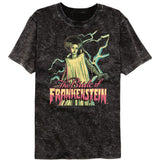 Universal Monsters - Bright Bride - American Classics - Solid Black Adult Short Sleeve Mineral Wash T-Shirt