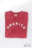 America Puff Print Mineral Washed Graphic Top