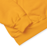 Alkaline Trio Chicago's Finest Hoodie