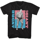 Andre The Giant - ATG Color Blocks Boyfriend Tee