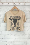 Dream On Dreamer