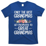Best Great Grandma Art For Grandma Wo Great Grandmother T-Shirt