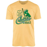 Binghamton Crickets - New York - Vintage Defunct Baseball Teams - Unisex T-Shirt