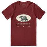 Cat Is Cat T-Shirt