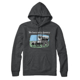You Have Died Of Dysentery Hoodie