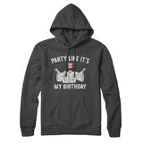 Party Like It's My Birthday Hoodie