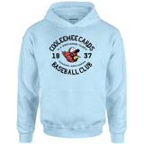 Cooleemee Cards - North Carolina - Vintage Defunct Baseball Teams - Unisex Hoodie