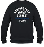 Design Bruce Springsteen And E Street Philadelphia Citizens Bank Park August 21 & 23 2024 T Shirt