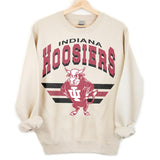 16. Indiana Hoosiers Vintage NCAA Sweatshirt, Indiana University Sports Gear Shirt, Classic Unisex College Fan Gift