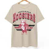 16. Indiana Hoosiers Vintage NCAA Sweatshirt, Indiana University Sports Gear Shirt, Classic Unisex College Fan Gift